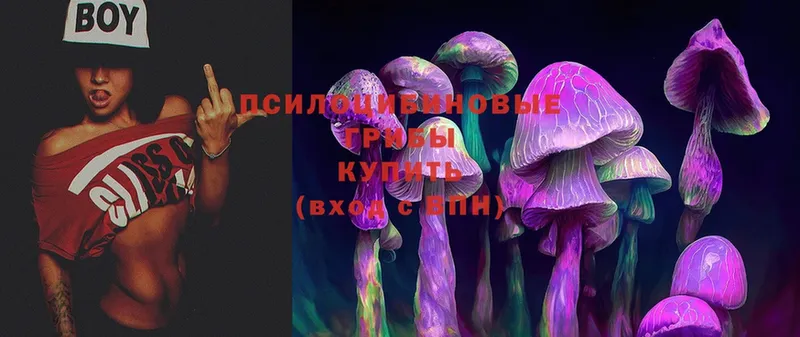 магазин продажи наркотиков  Энем  KRAKEN как войти  Галлюциногенные грибы Magic Shrooms 